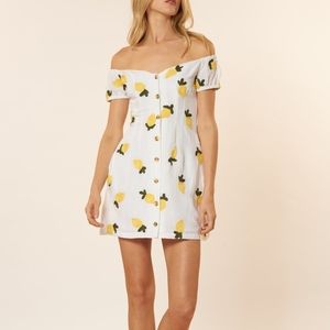 Red Carter Embroidered Dress